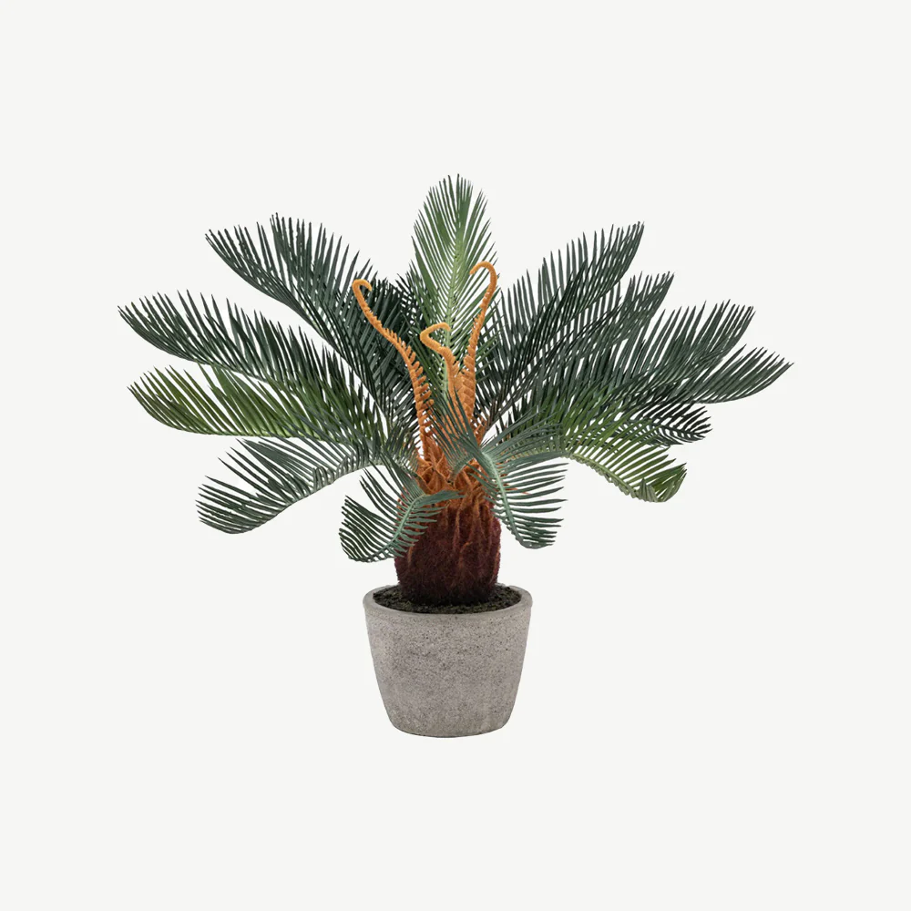 Artificial Wide Palm in Concrete Pot - Image 3