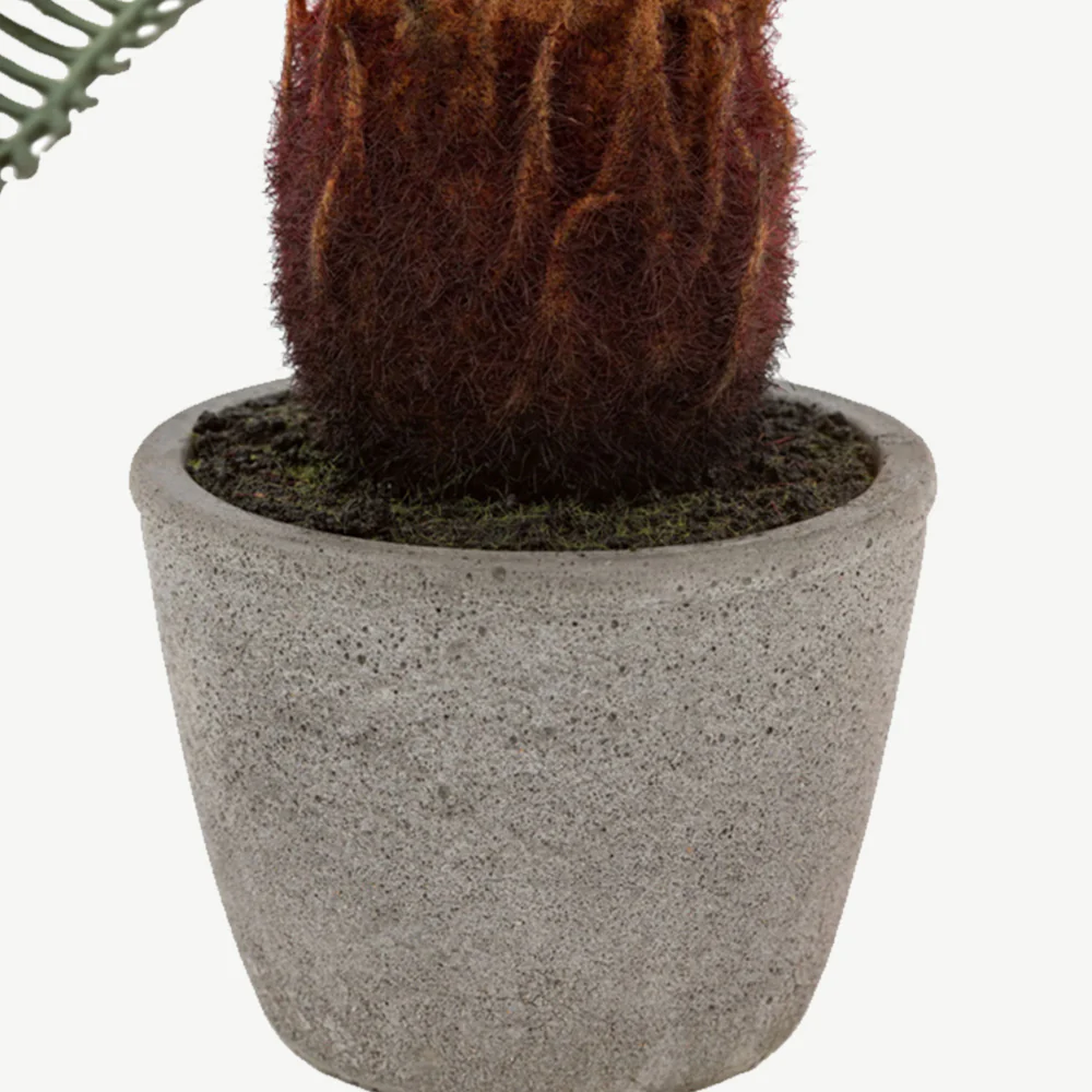 Artificial Wide Palm in Concrete Pot - Image 4