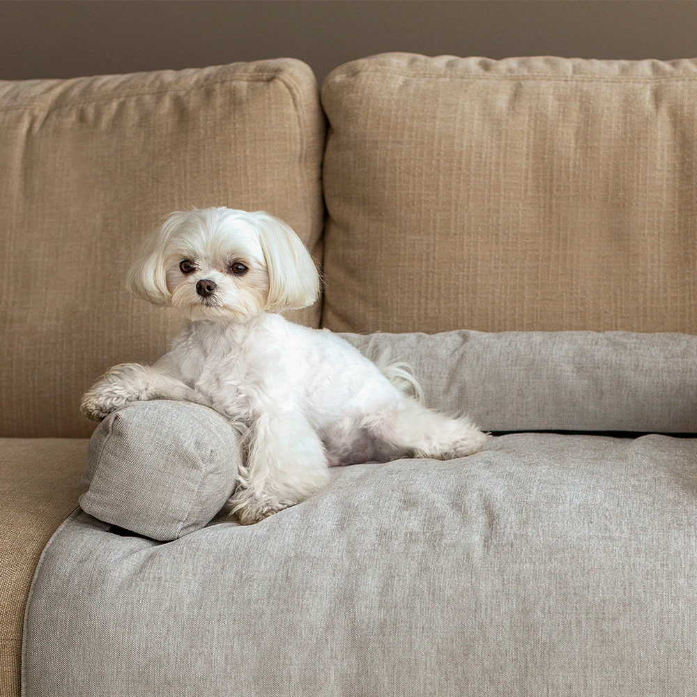 Muttley Pet Bed - Image 3